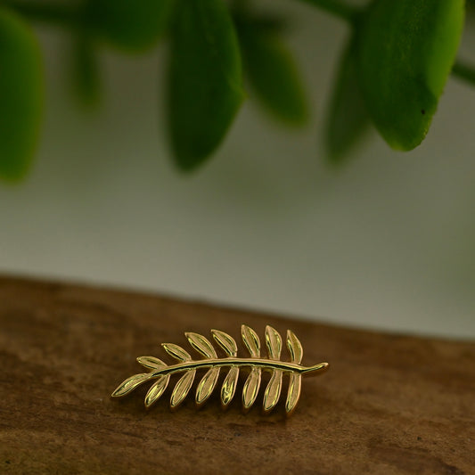 Fern