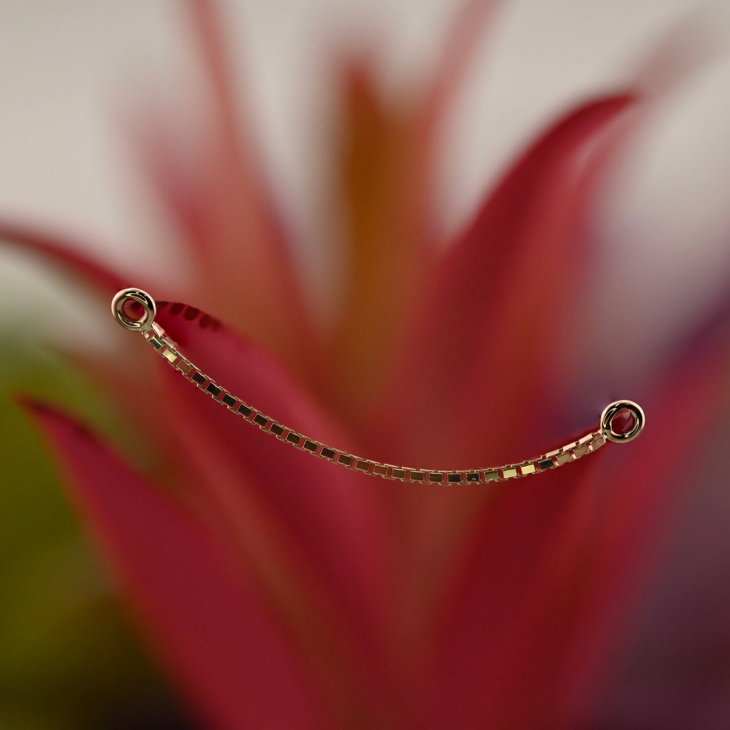 Alexas Box Chain Attachment