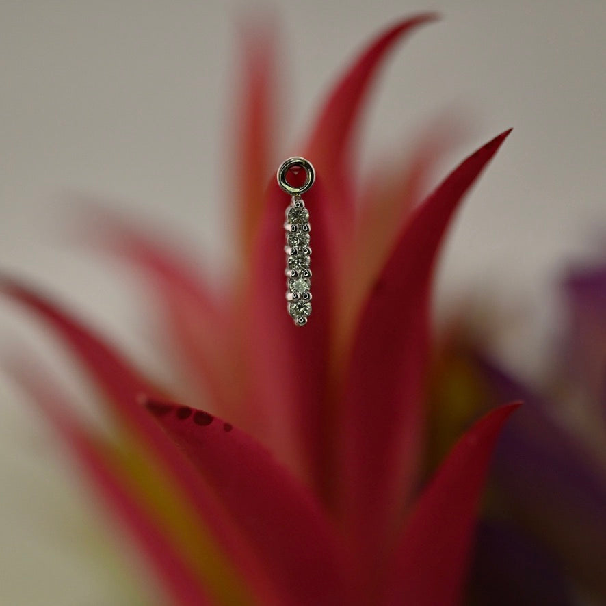 Linear 5 Prong Cluster Charm