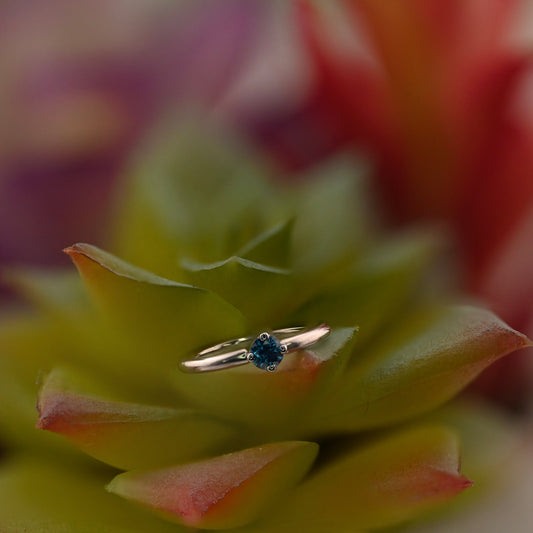 Fixed Ring with 2.5mm Round Prong - Navel Orientation