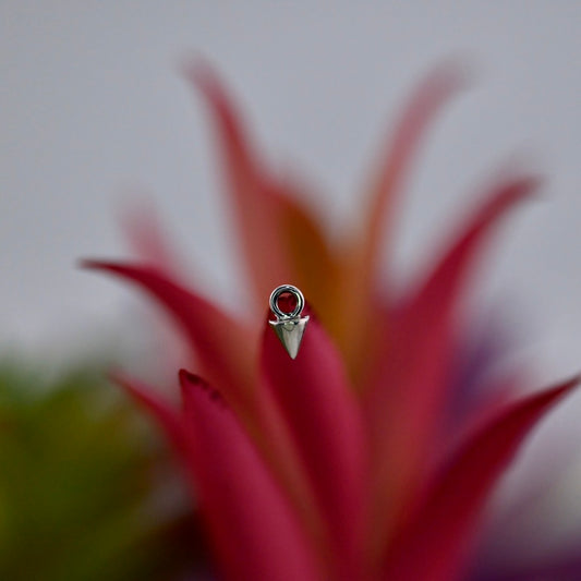 Spike Charm