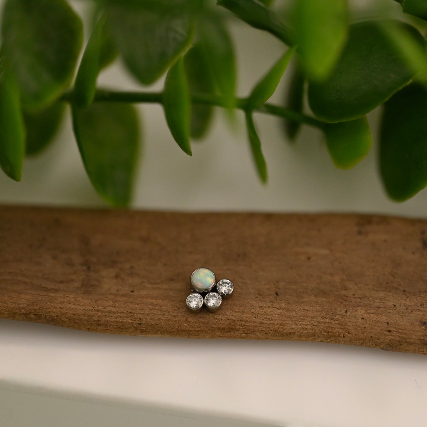 4-C - Captive Gem Only