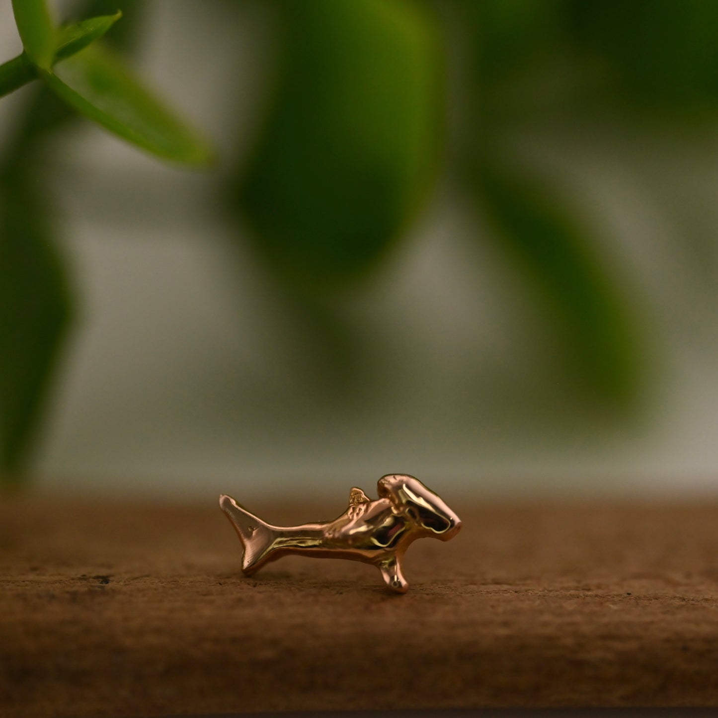 Bubbles - Hammerhead