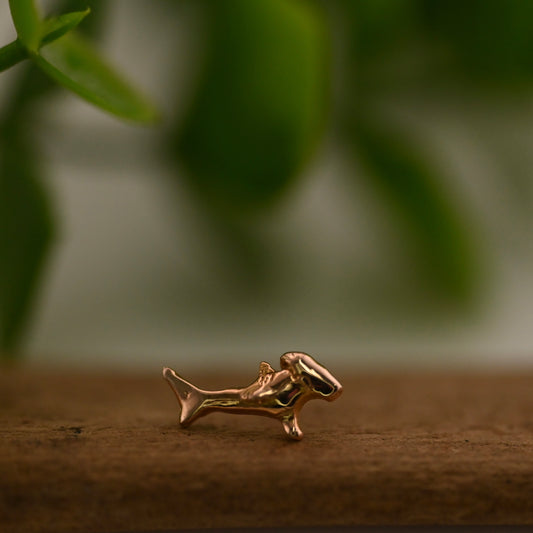 Bubbles - Hammerhead