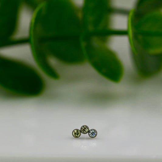 Titanium Threadless Petite Cluster