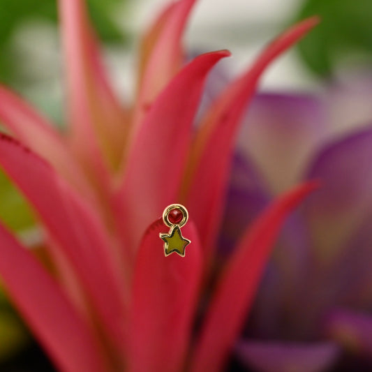 Star Charm
