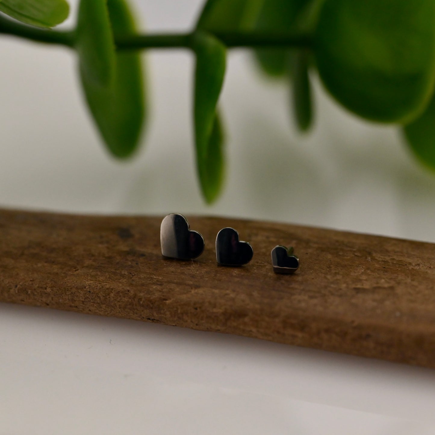 Titanium Heart End