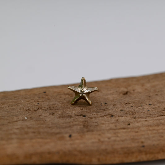 Seastar (Starfish)