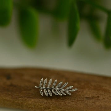 Mini Fern