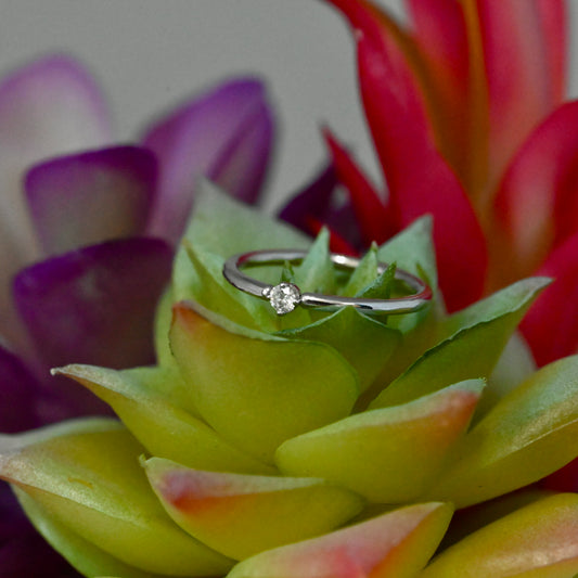 Fixed Ring with 2mm Round Prong - Navel Orientation