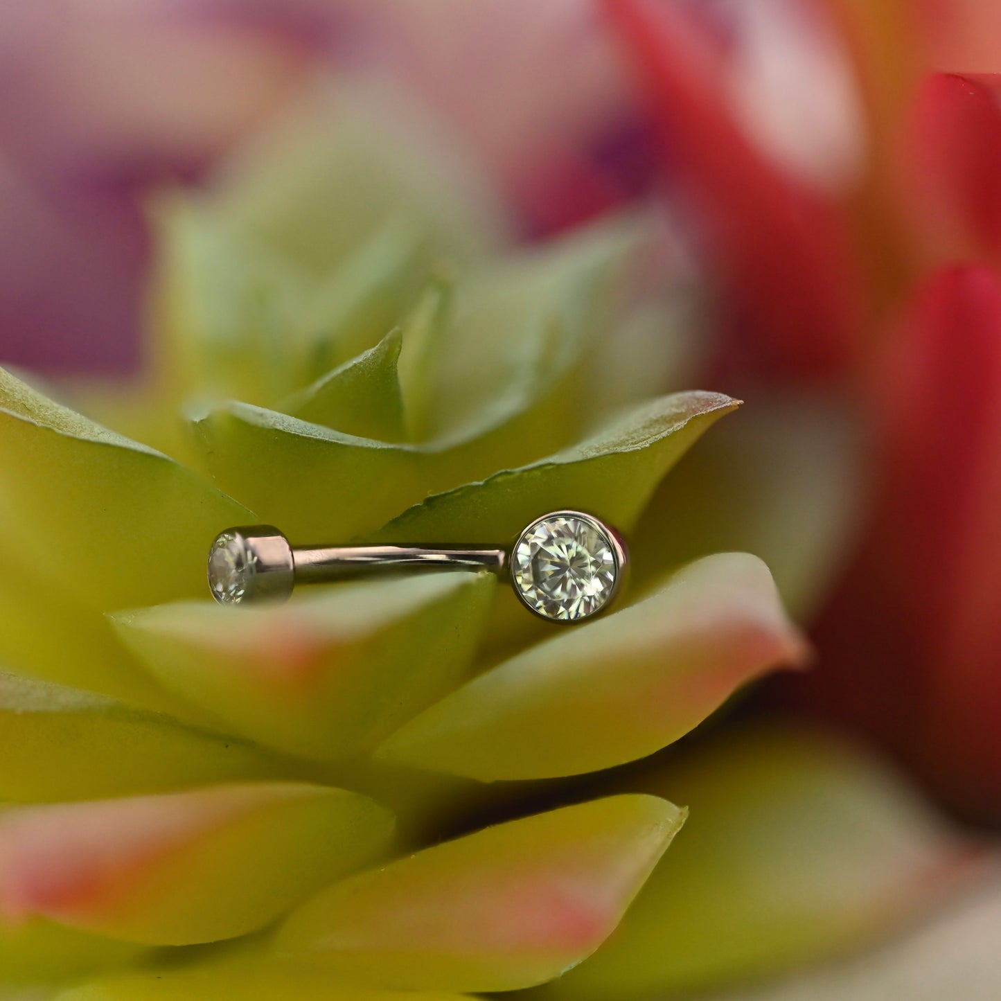 Titanium Bezel Navel Curve