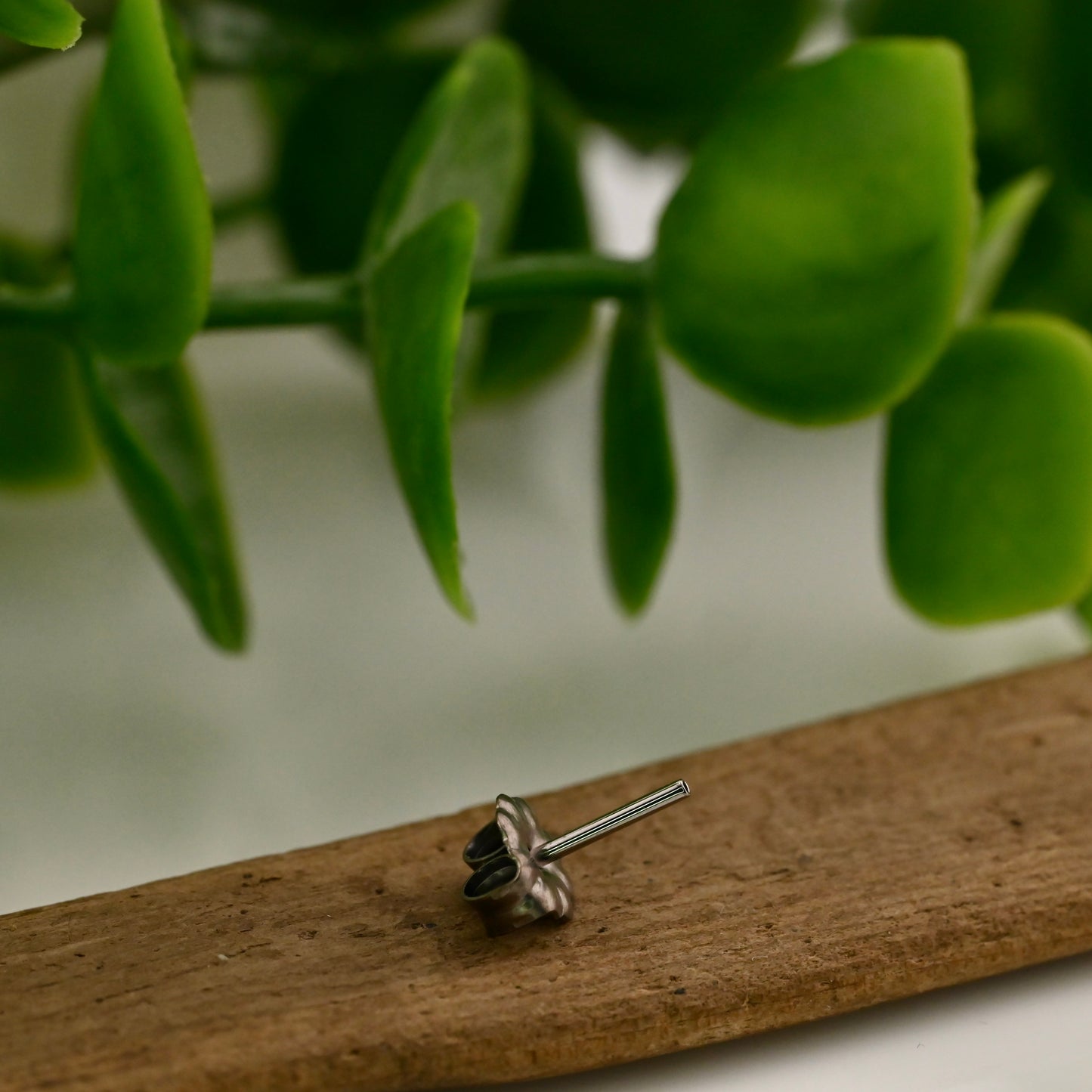 Standard earring adapter