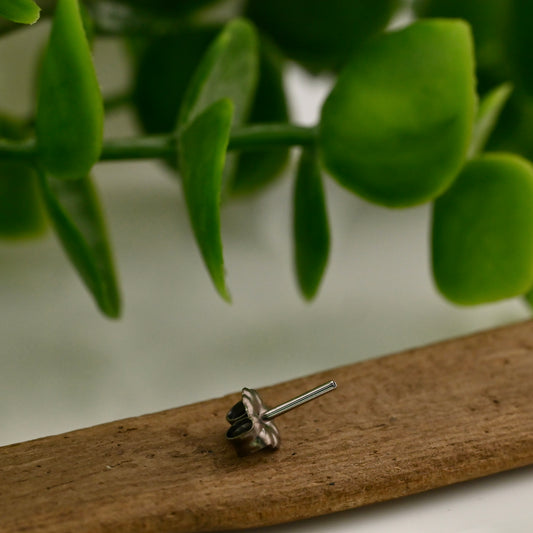 Standard earring adapter