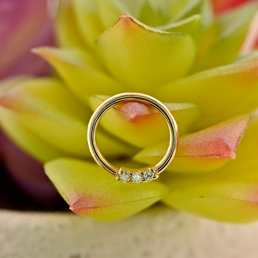 3 Gem Blaze Fixed Ring - Nipple Orientation 1.5mm Gemstones