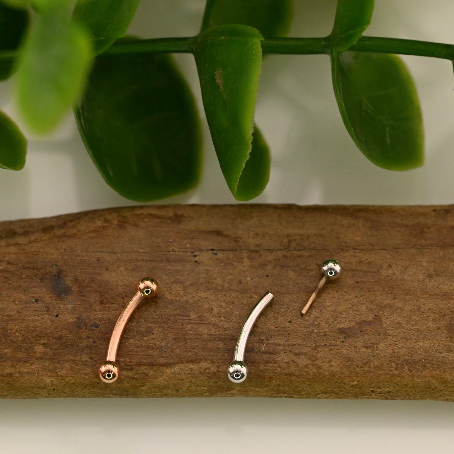 14K 18g Curved Barbell with 2mm Beads