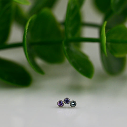 Titanium Threadless Petite Cluster
