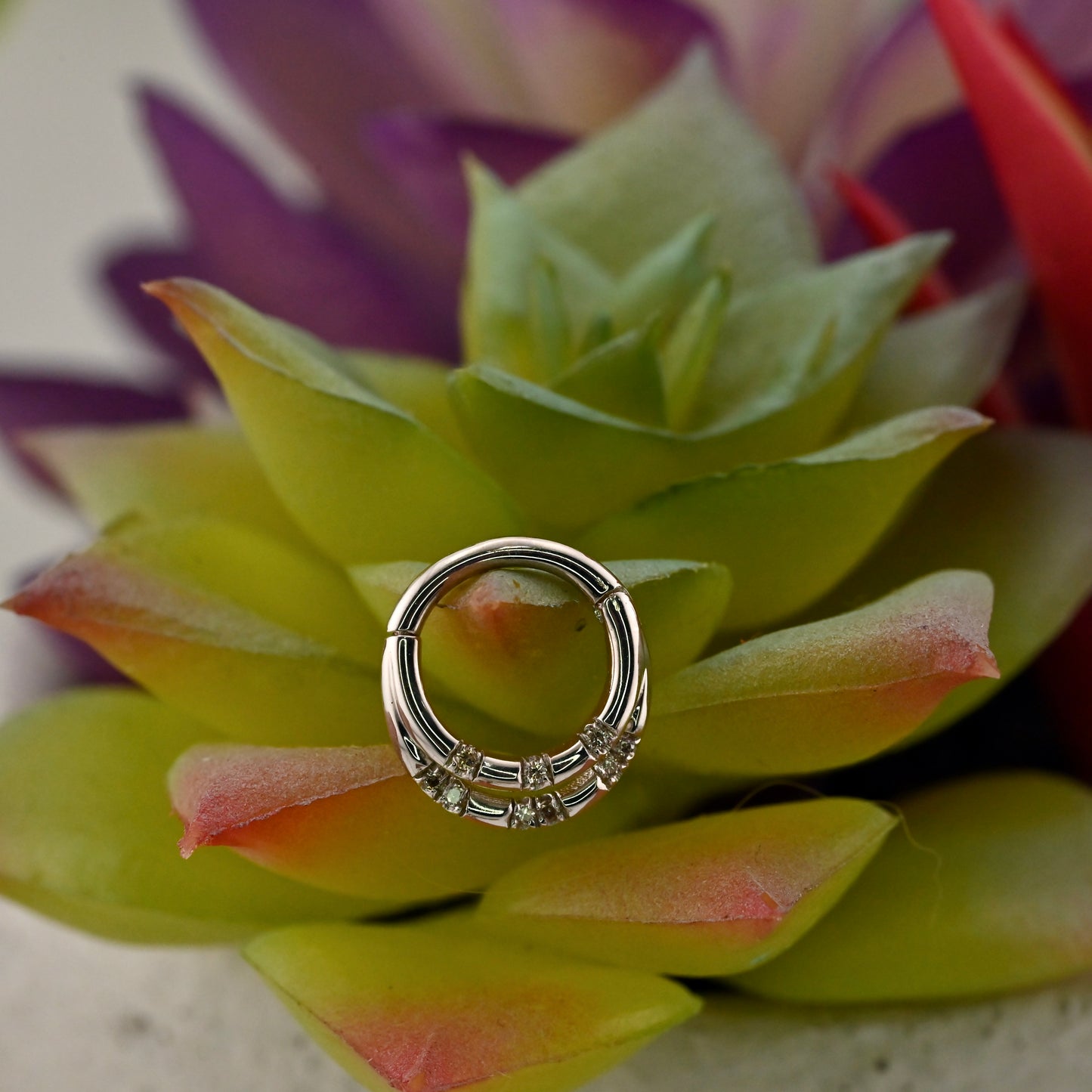 Criminally Humble Stacked