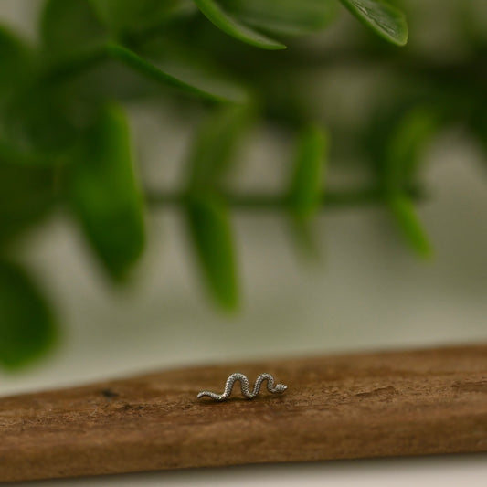 Tiny Delicate Snake