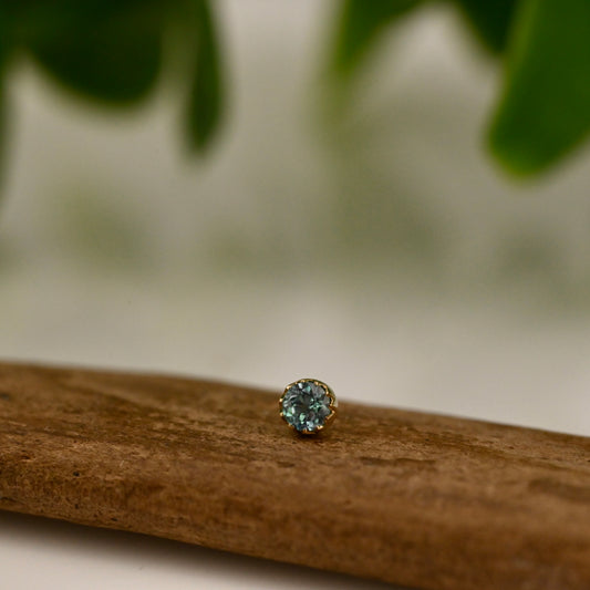 Serrated Bezel 2.5mm