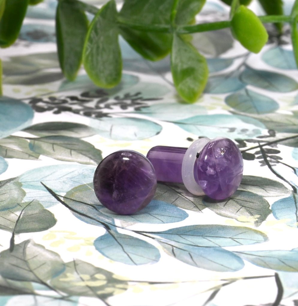 Amethyst Single Flair Plugs - Pair - Agave in Bloom