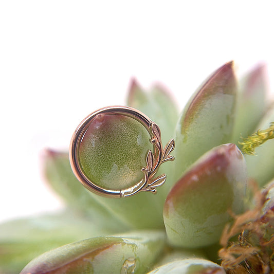 Amity Seam Ring - Nipple Orientation - Agave in Bloom