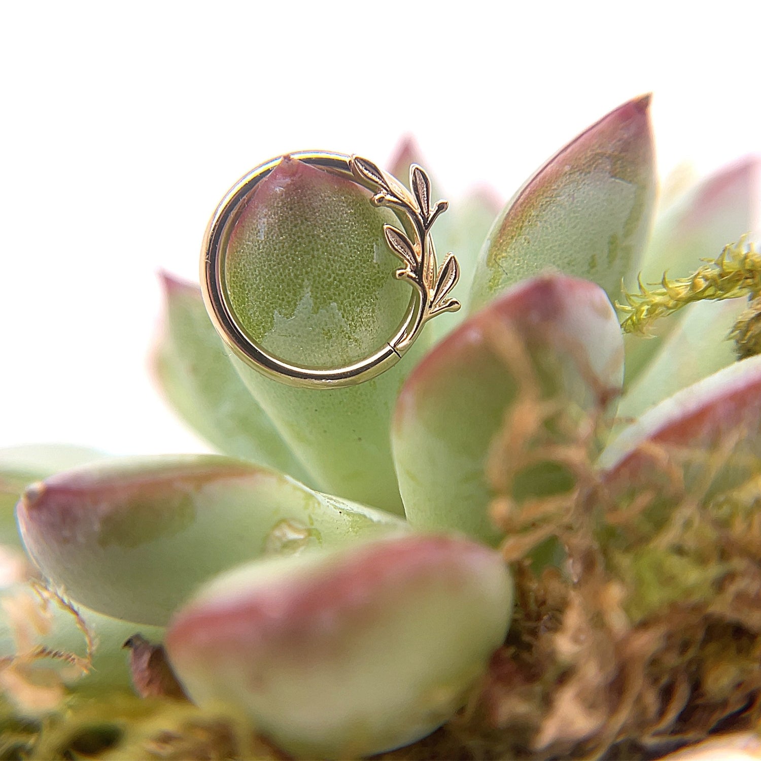 Amity Seam Ring - Nipple Orientation - Agave in Bloom