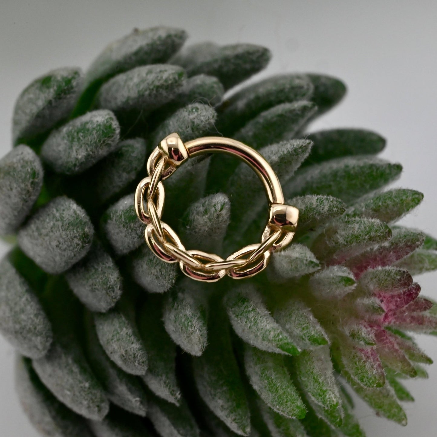 Anchored Hinge Ring - Agave in Bloom