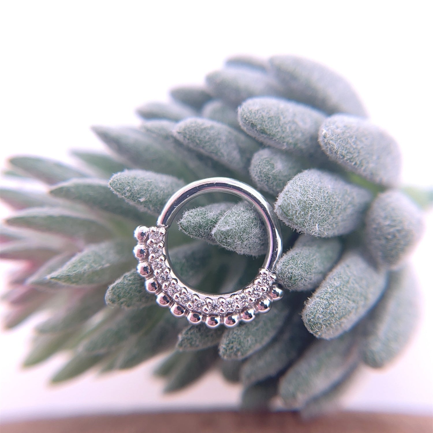 Aria Seam Ring - Nipple Orientation - Agave in Bloom