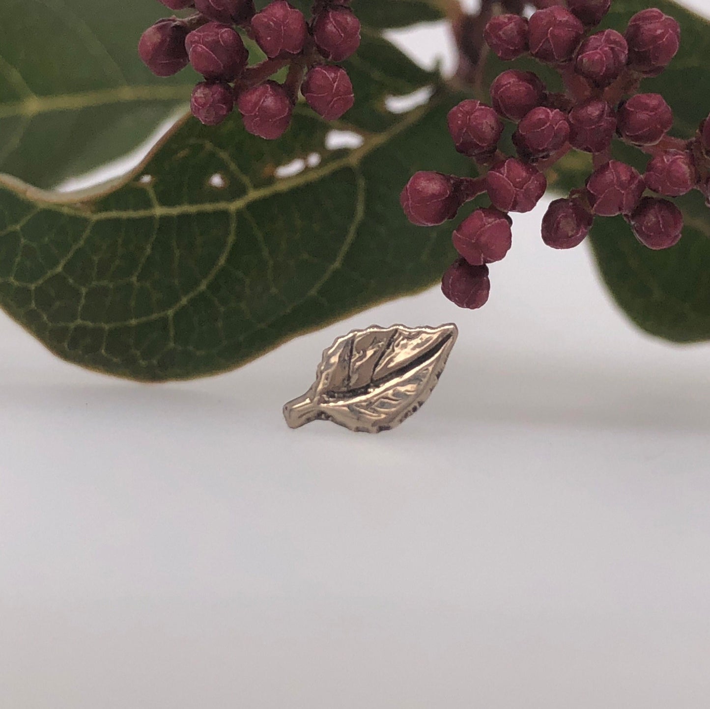 Aspen Leaf - Agave in Bloom