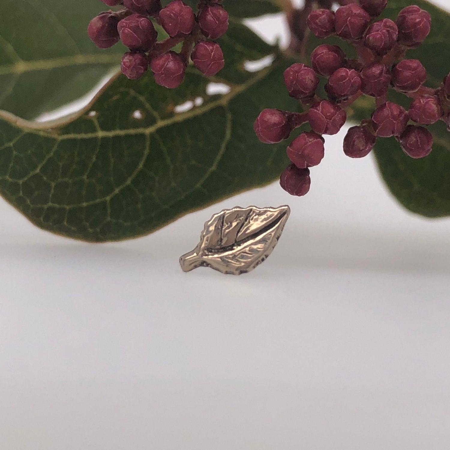 Aspen Leaf - Agave in Bloom