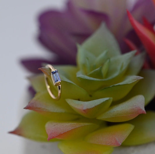 Baguette Bar Seam Ring - Agave in Bloom