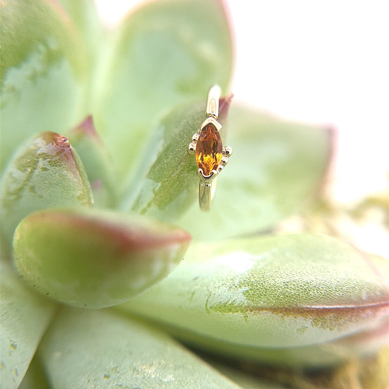 Beaded Marquise Fixed Ring - Agave in Bloom