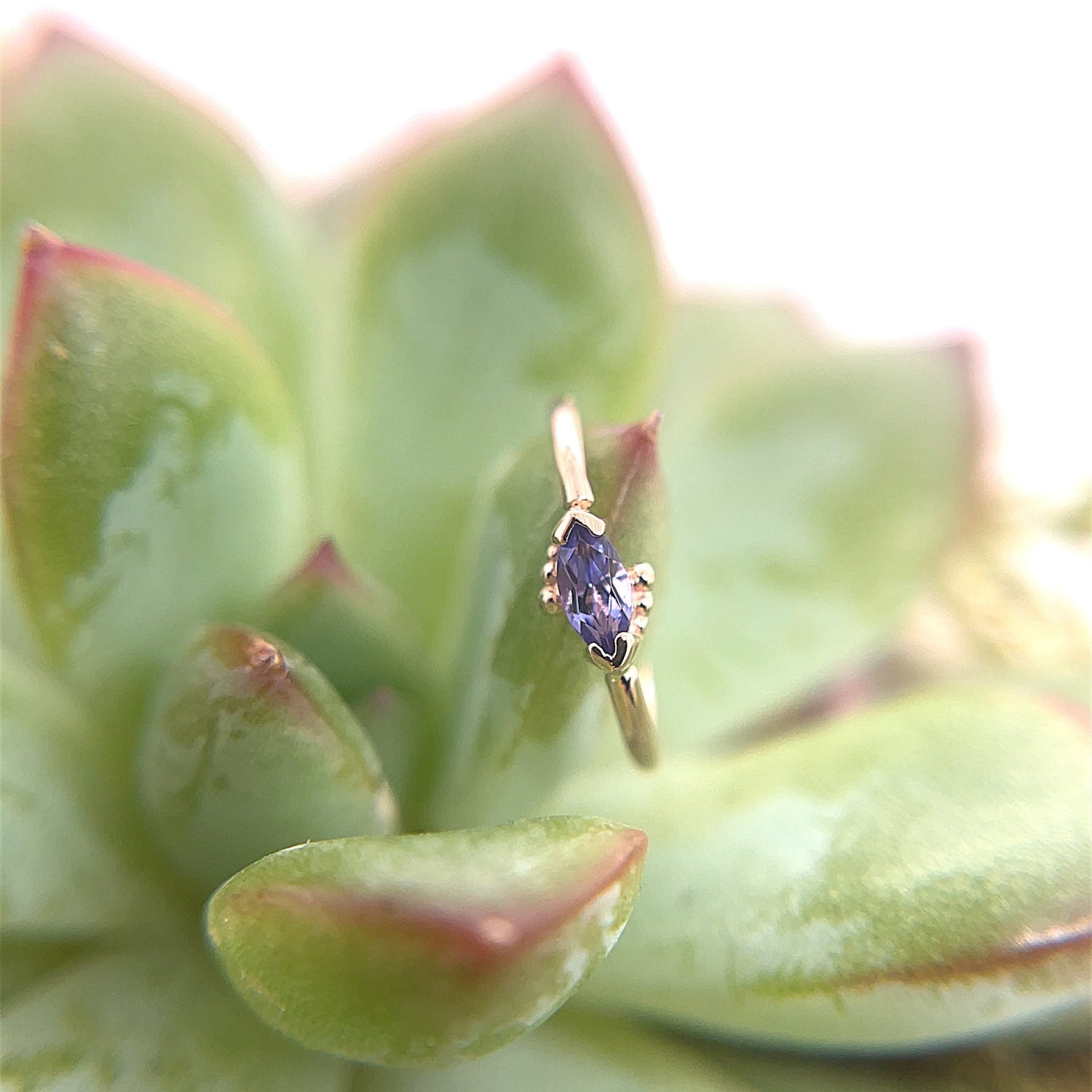 Beaded Marquise Fixed Ring - Agave in Bloom