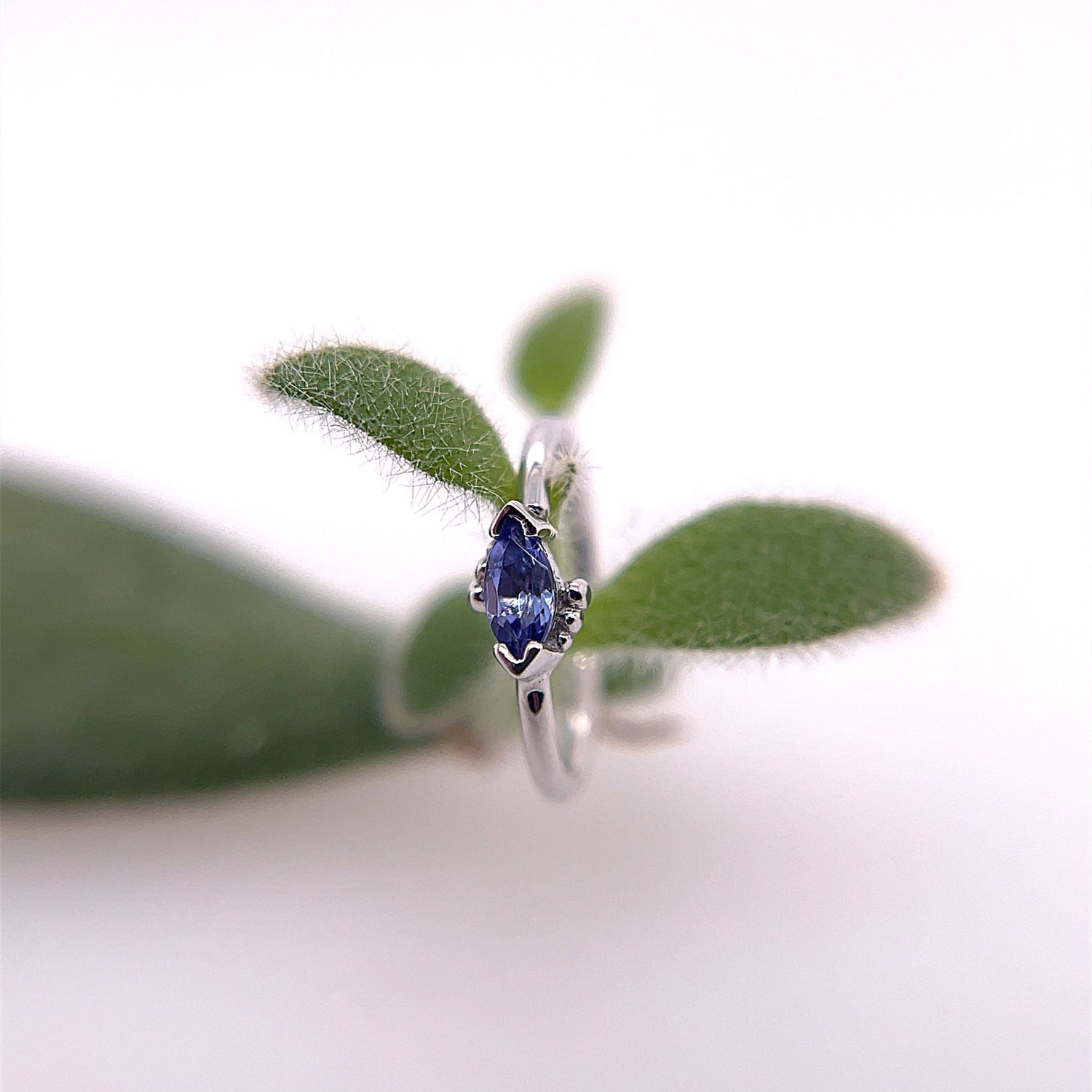 Beaded Marquise Fixed Ring - Agave in Bloom