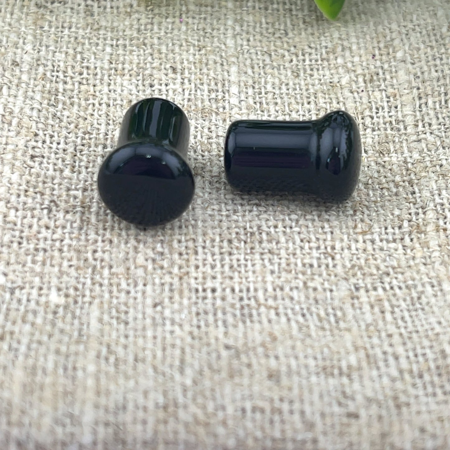 Black Obsidian Single Flare Plugs - Pair - Agave in Bloom