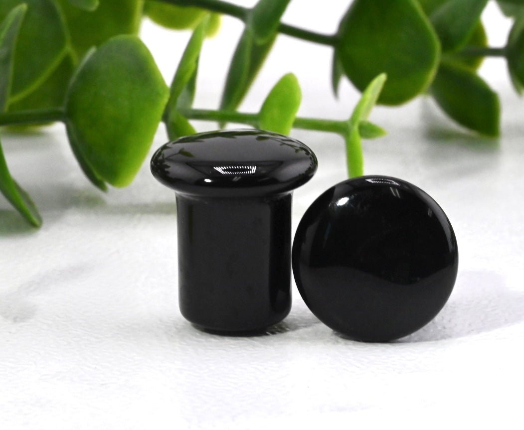 Black Obsidian Single Flare Plugs - Pair - Agave in Bloom