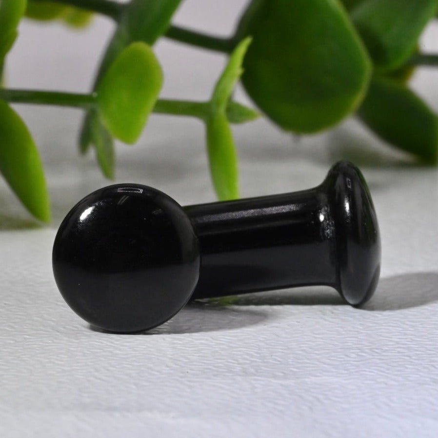 Black Obsidian Single Flare Plugs - Pair - Agave in Bloom