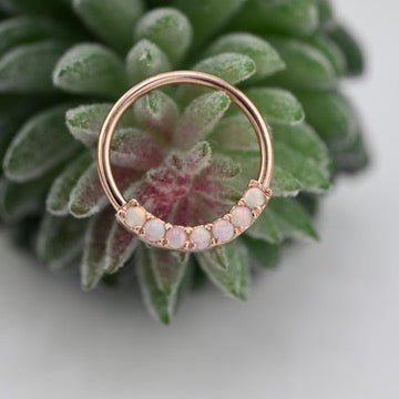 Blaze 7 Seam Ring - Nipple Orientation - Agave in Bloom