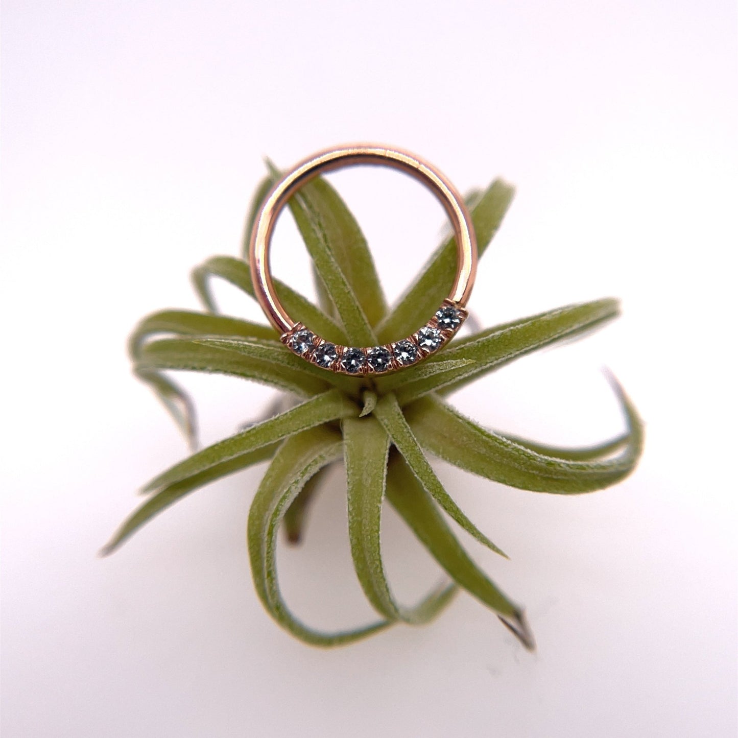 Blaze 7 Seam Ring - Nipple Orientation - Agave in Bloom