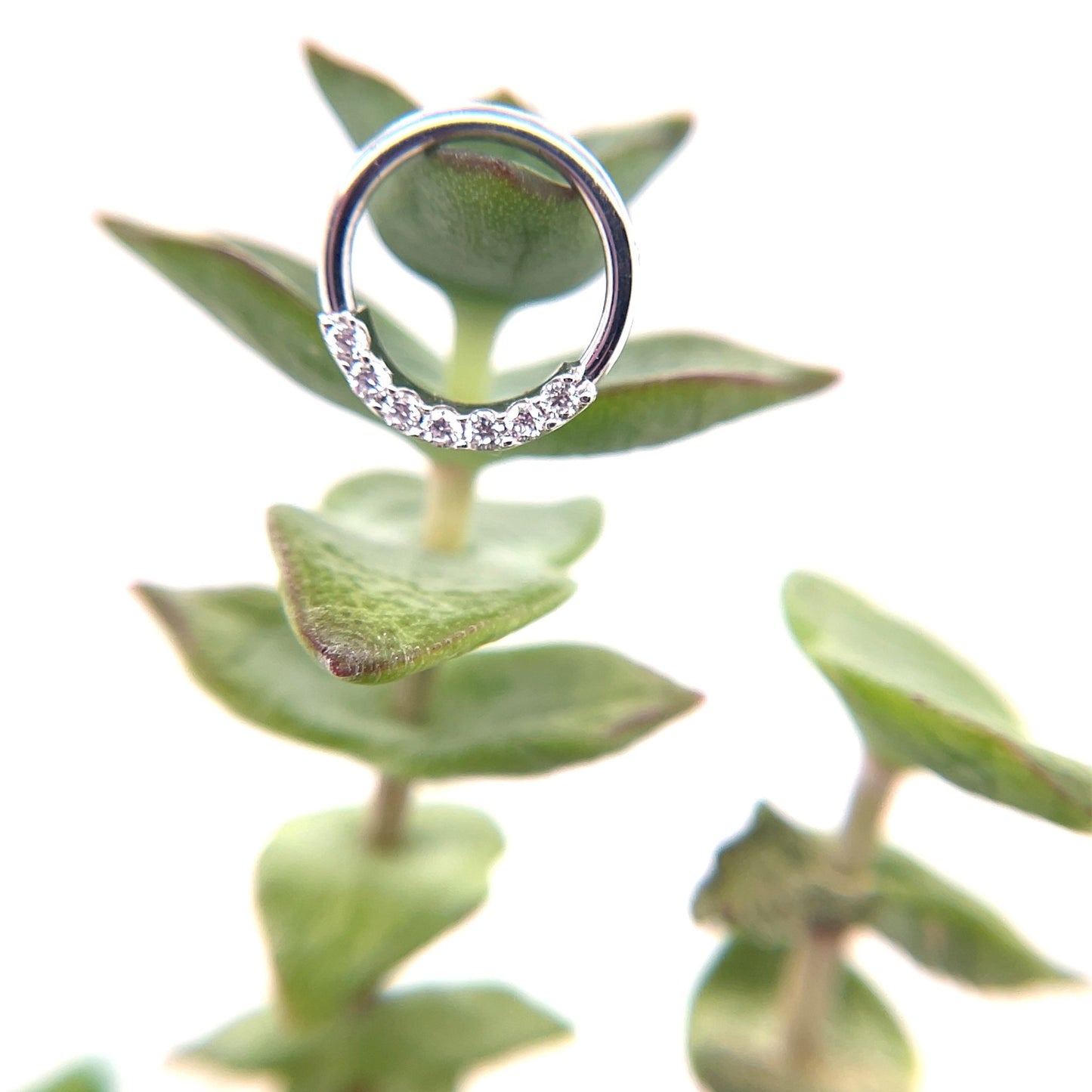 Blaze 7 Seam Ring - Nipple Orientation - Agave in Bloom