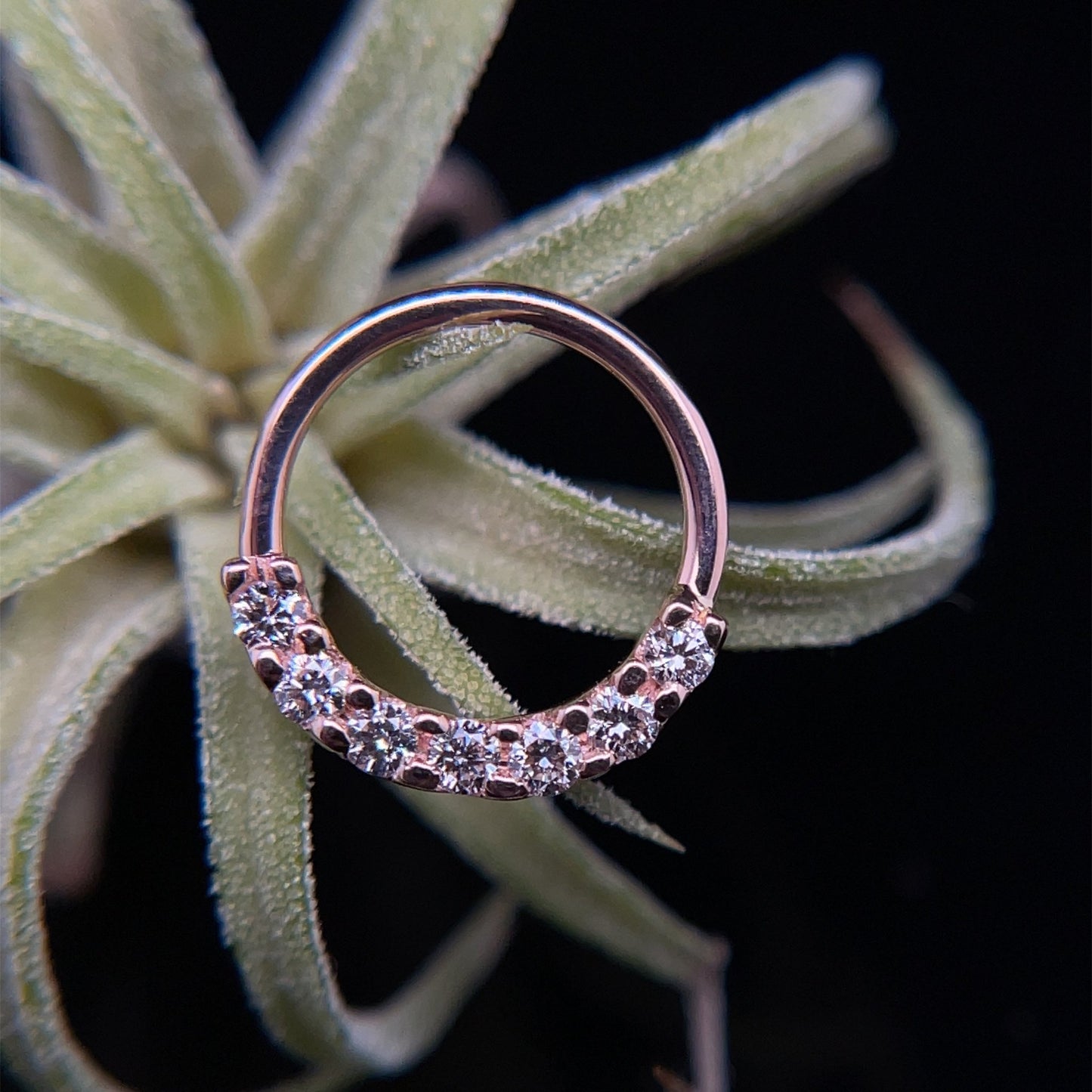 Blaze 7 Seam Ring - Nipple Orientation - Agave in Bloom