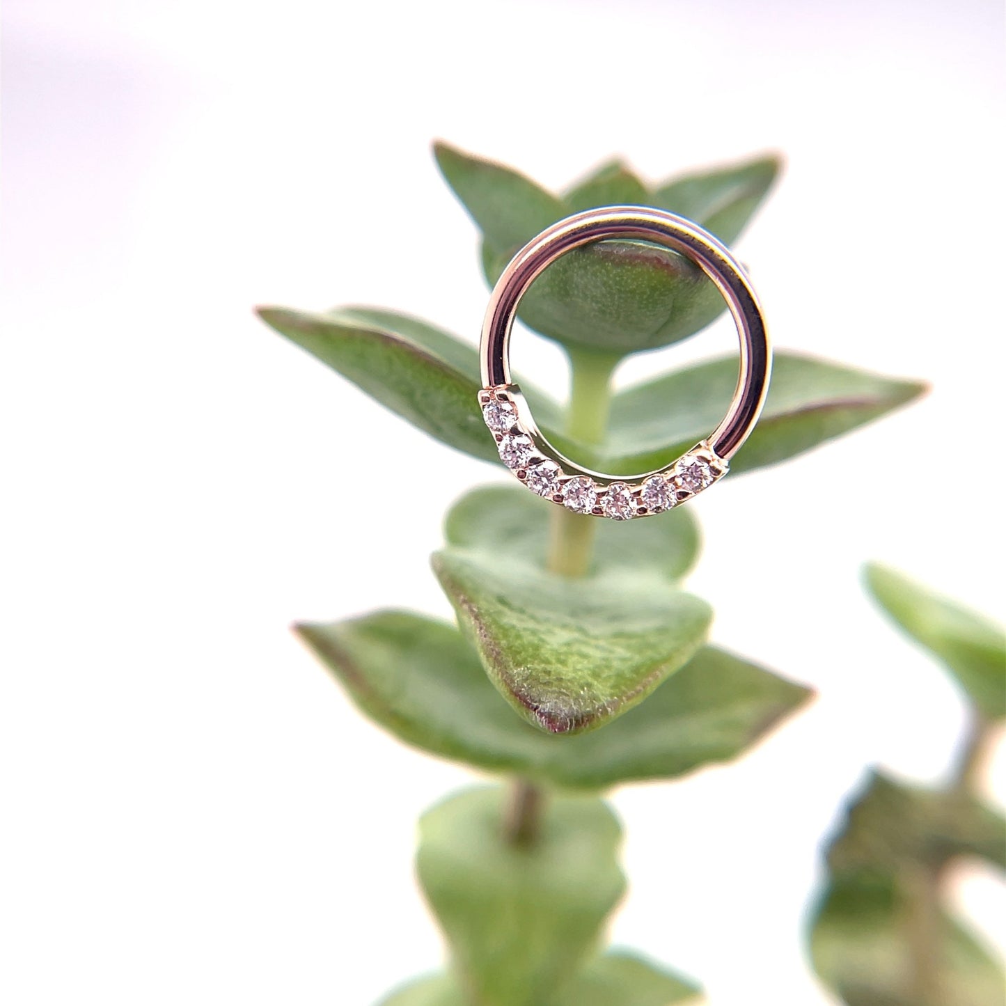 Blaze 7 Seam Ring - Nipple Orientation - Agave in Bloom