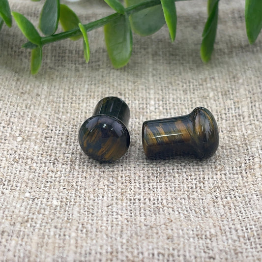 Blue Tiger's Eye Single Flare Plugs - Pair - Agave in Bloom