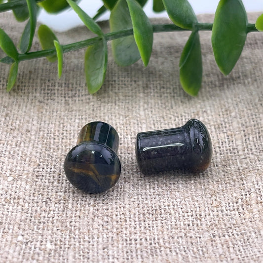 Blue Tiger's Eye Single Flare Plugs - Pair - Agave in Bloom