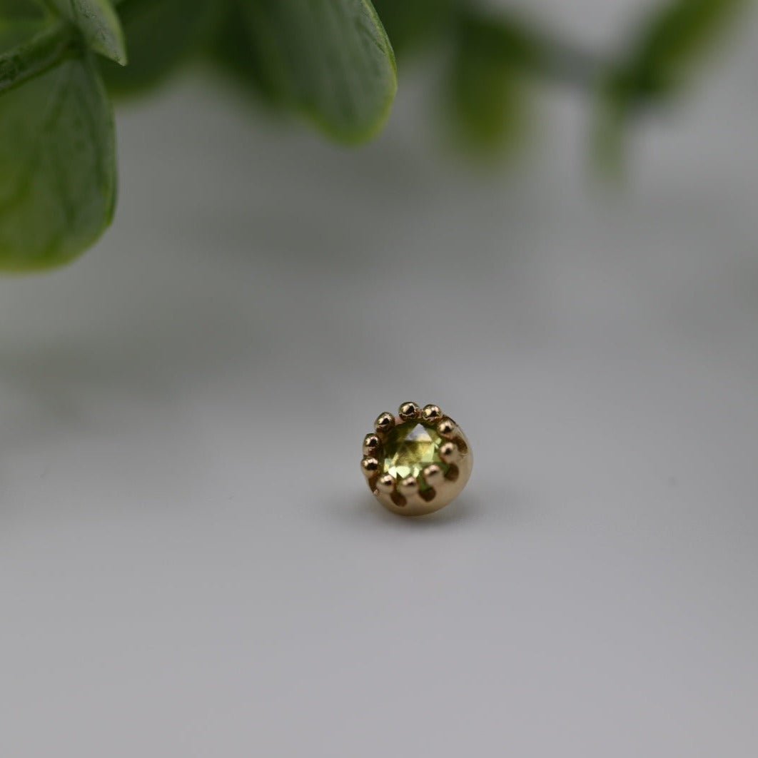 Cabochon Crown Prong - 6mm - Agave in Bloom