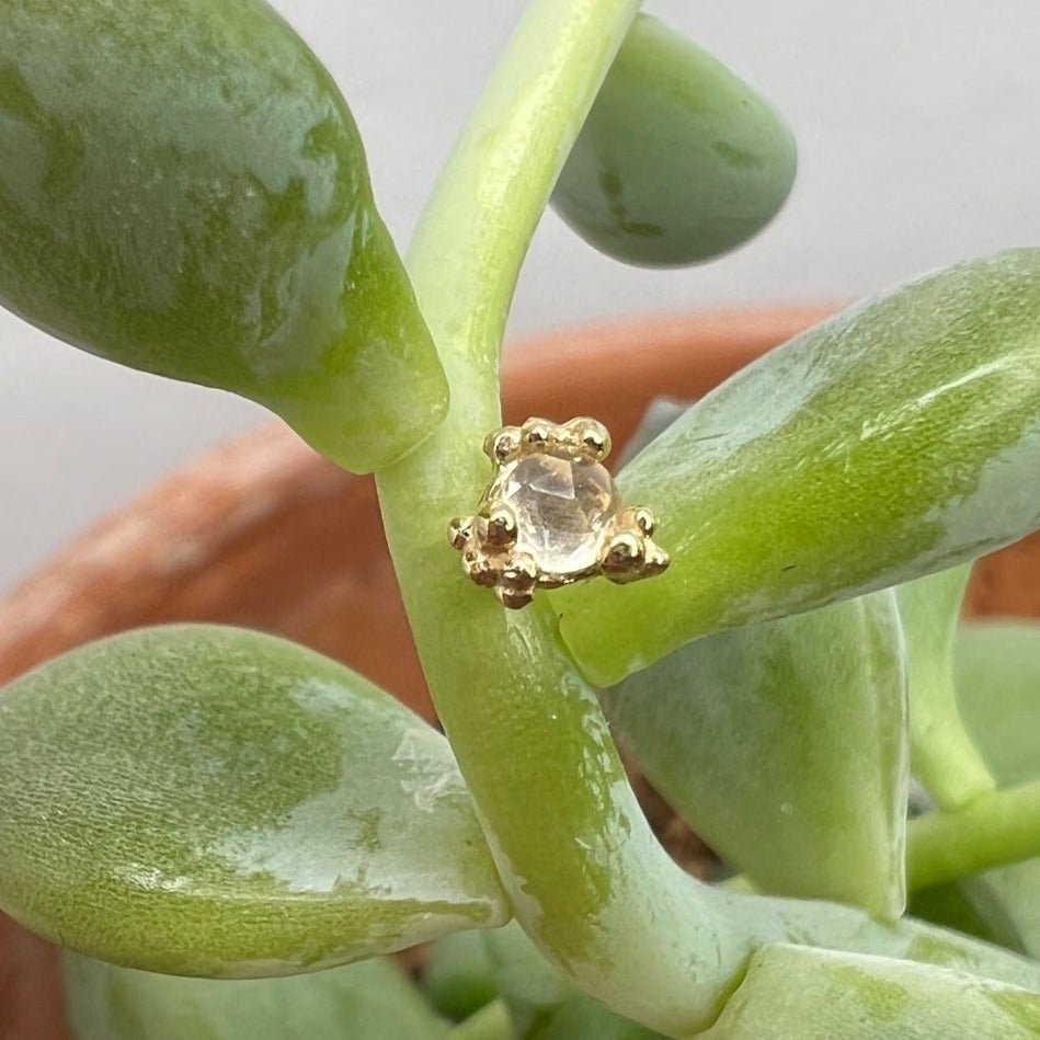 Cleo Beaded End - Agave in Bloom