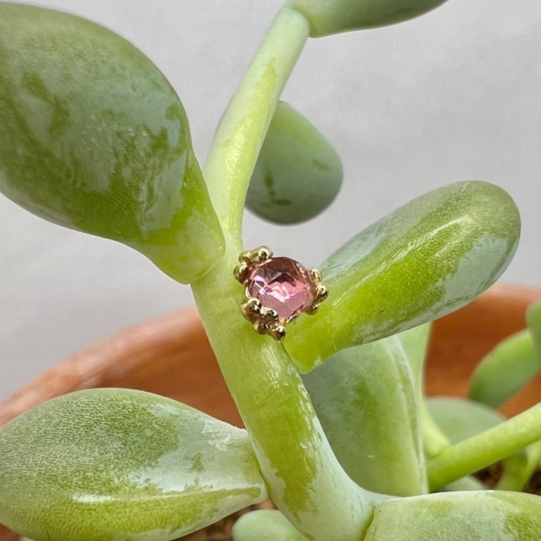 Cleo Beaded End - Agave in Bloom