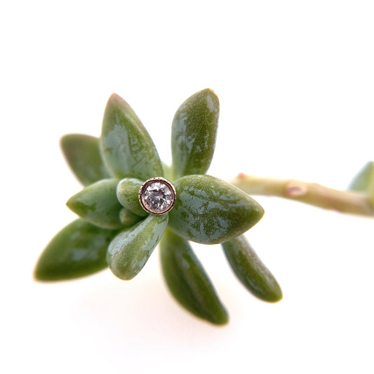 Diamond Millgrain Bezel 2.5mm - Agave in Bloom