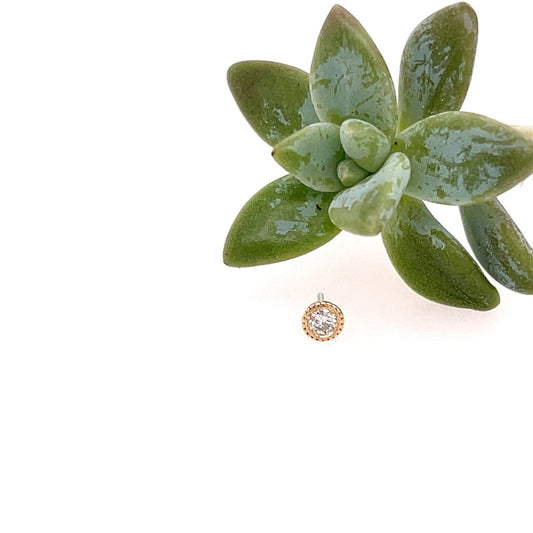 Diamond Millgrain Bezel 2.5mm - Agave in Bloom