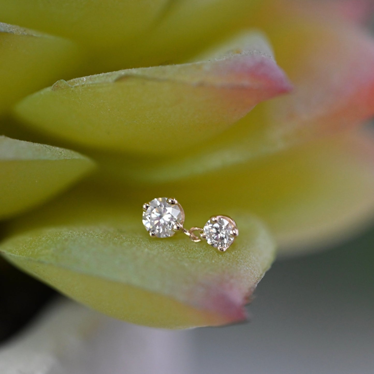 Duet - 2.5mm Top Gem - Agave in Bloom